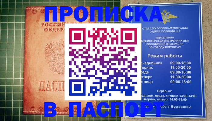 прописка гарантия в Бийске